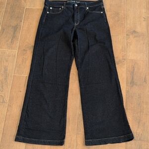 American Eagle Outfitters Dark Blue Flare Jeans